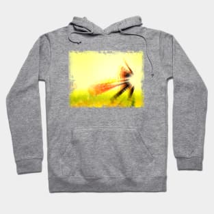 Cricket 4 Hoodie